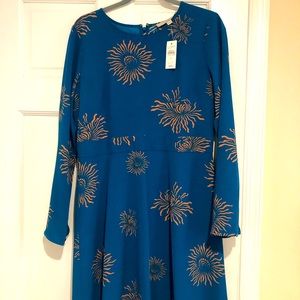 Blue LOFT dress, knee length, long sleeves.